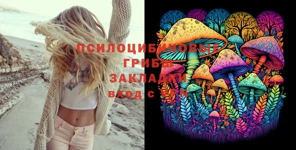 PSILOCYBIN Алексеевка