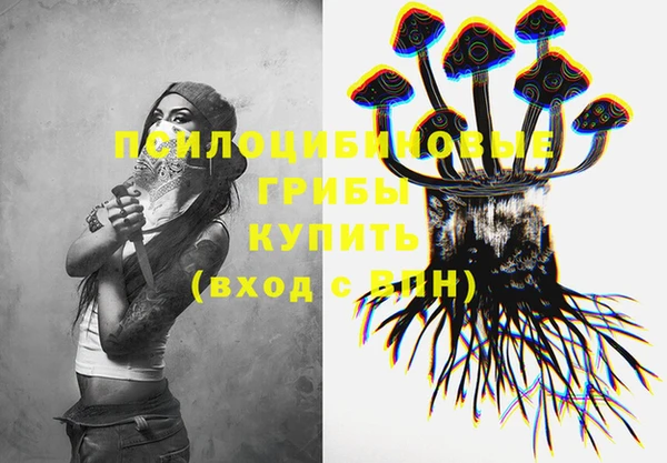 PSILOCYBIN Алексеевка