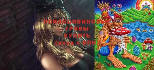 гидропоника Абаза