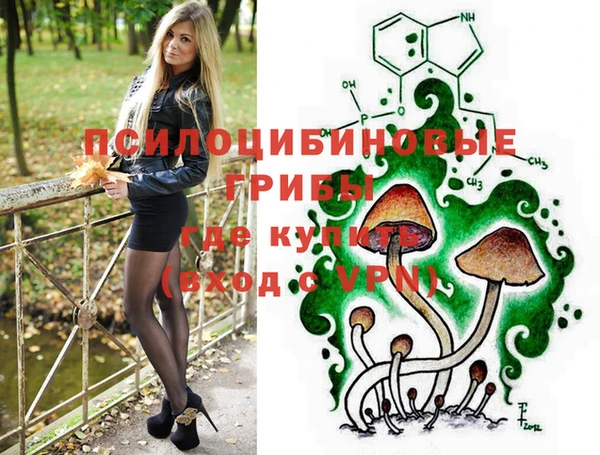 хмурый Алексин