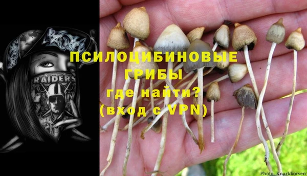 каннабис Алзамай