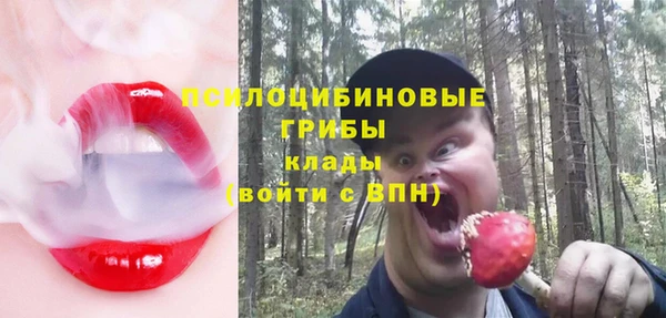 хмурый Алексин