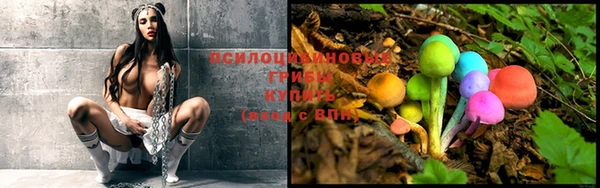 гидропоника Абаза